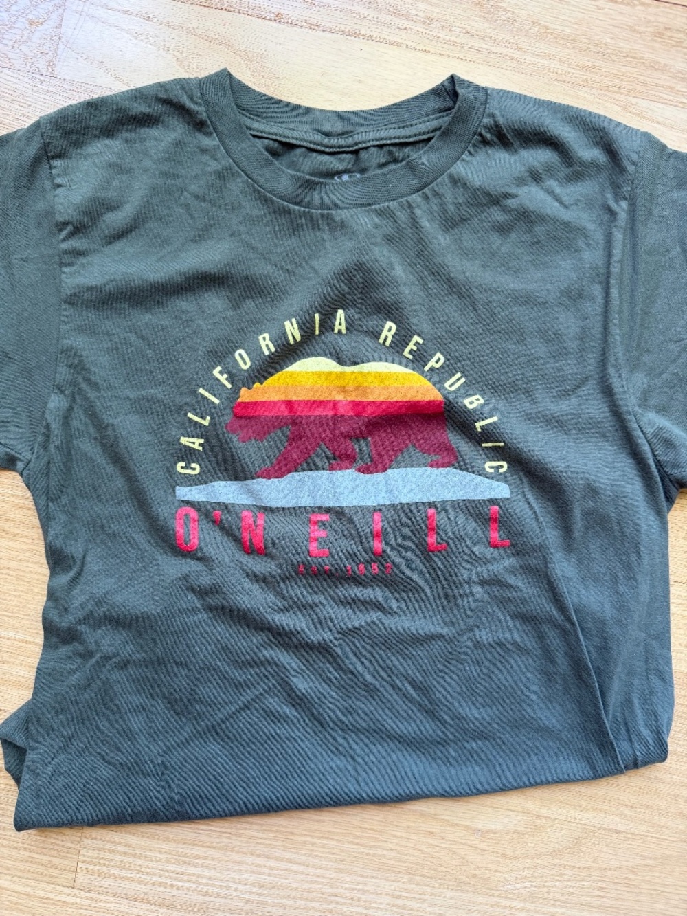 O'Neill California Republic Bear Modern Fit Green T-Shirt S